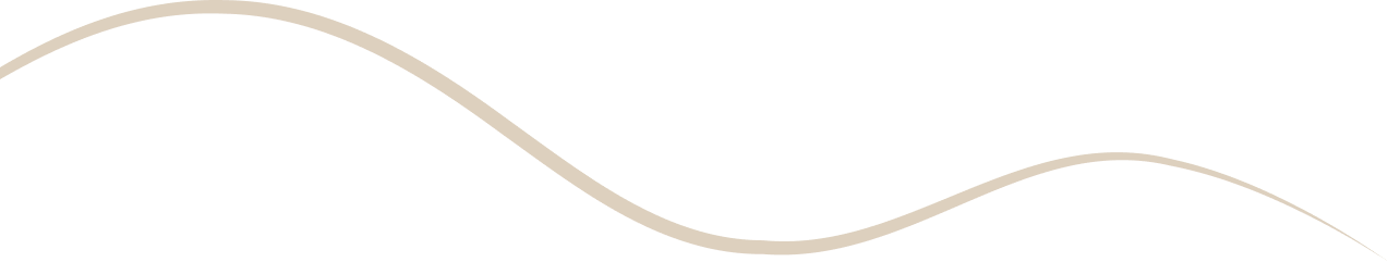 Light wave particle